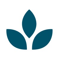 YarnsandFibers.com (YnFx) Logo