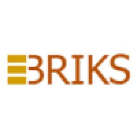 EBriks Infotech Pvt. Ltd. Logo