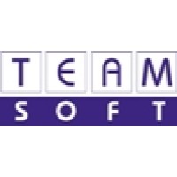 Teamsoft LLC Logo