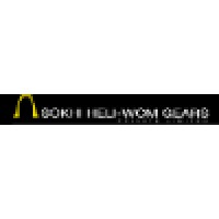 Sokhi Heli-Wom Gears Private Ltd Logo