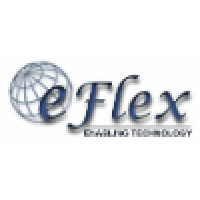 eFlex IT Solutions Pvt. Ltd. Logo
