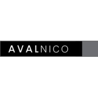 Avalnico Logo