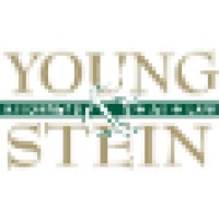 Young & Stein Logo