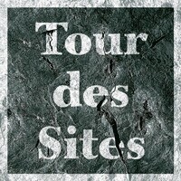 Tour des Sites Organisation Logo