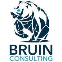 Bruin Consulting Logo
