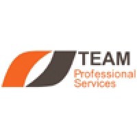 TEAM Professional Services Logo