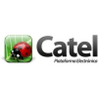 Dipsva SA de CV Logo