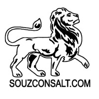 The network of international experts Souzconsalt Logo