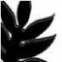 Breadfruit Productions Logo