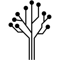 AudienceBloom Logo