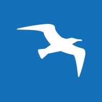 Baygull Studios Logo