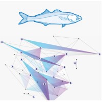 Bluefish Capital Logo