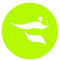 Live Event Solutions Logo