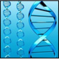 Biotechnology Information Institute Logo