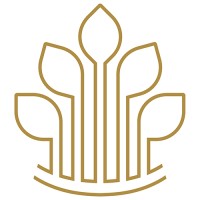 Stone Oak Wealth Management Logo