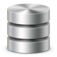 Database Services, Inc Logo