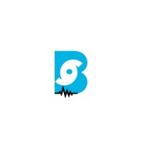 Blue Sky Tie Down Systems Logo