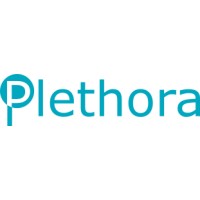 Plethora Design - Drupal firm located in Virginia Logo