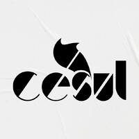 Cesul - Centro Sulamericano De Ensino Superior Logo