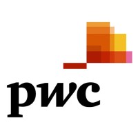 PwC Russia Logo