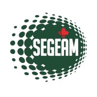 SEGEAM Logo