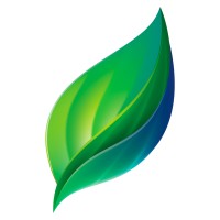 Árbore Engenharia Logo