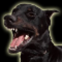 Barking Dog Graphics Logo