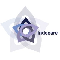 Indexare Assessoria Em Gestão Da Informação Logo
