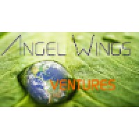 Angel Wings Ventures Logo