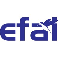 EFAI- Escola De Aviação Civil Logo