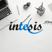 INTESIS Brasil Technology Logo