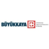 Buyukkaya International Insurance and Reinsurance Brokers Ltd. Logo