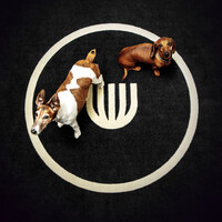 Umbrella Collective /// umbrella.tv Logo