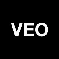 VEO Branding Company Logo