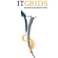 IT Grids Ltd Logo