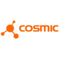 Cosmic Solutions S.A.S Logo