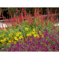 Waterwise Landscapes Incorporated Logo