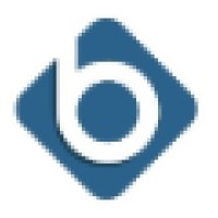 Banyon Data Systems, Inc Logo