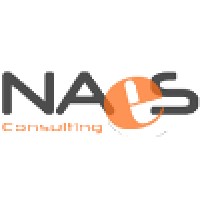 NAeS Consulting s.r.l. Logo