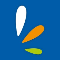 Vitae Brasil Logo