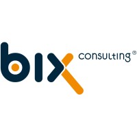 biX Consulting GmbH & Co. KG Logo