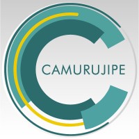 Auto Viacao Camurujipe Logo