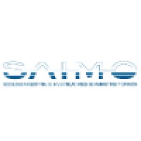 SAIMO - Sociedad Argentina de investigadores de Marketing y Opinión- Logo