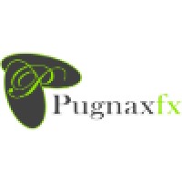 Pugnax FX Capital Ltd Logo