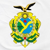Fundação Hemoam Logo
