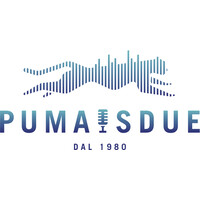 PUMAIS DUE Srl Logo