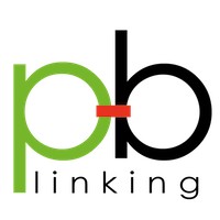 P&B LINKING S.P.A Logo