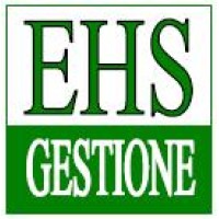 EHS gestion s.r.l. Logo