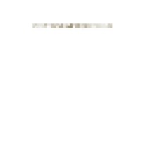 Robyn Shapiro Design Logo