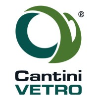 CANTINI VETRO S.R.L. Logo